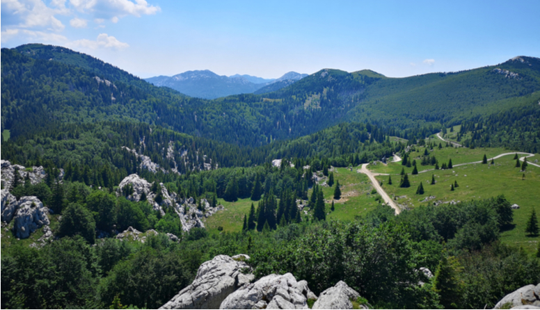 Zavižan