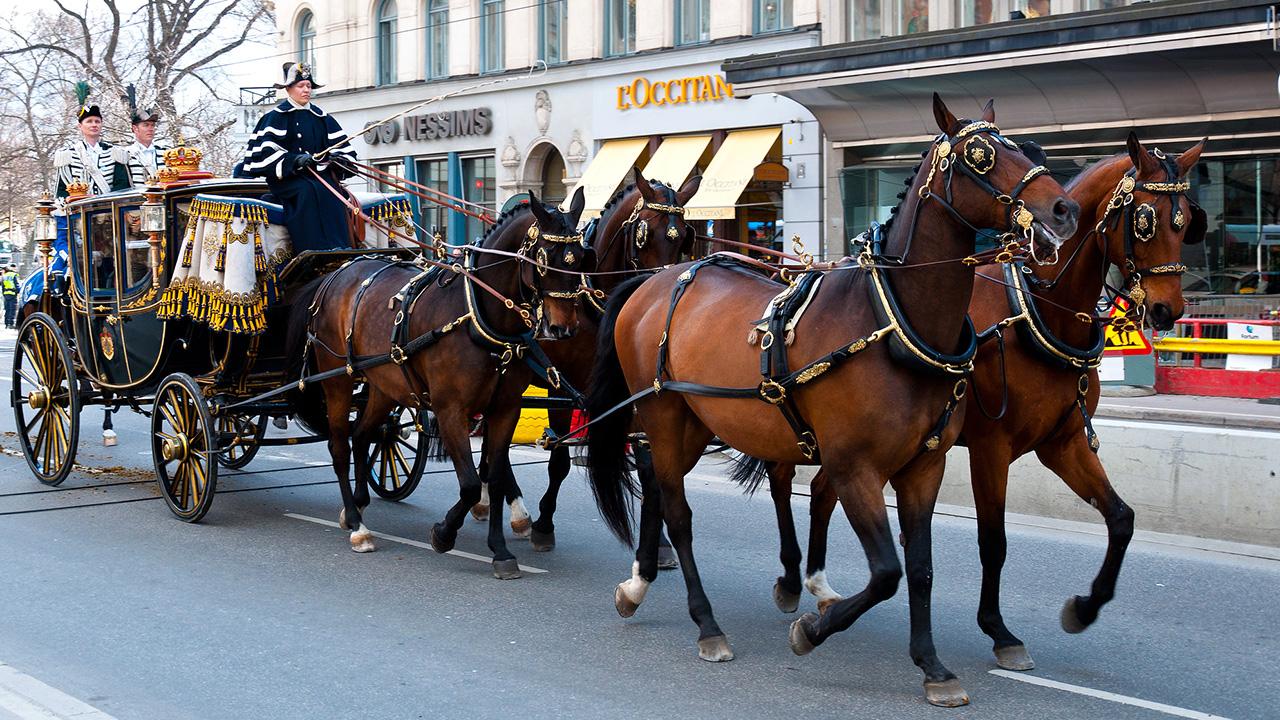 Vektori sila kojima konji vuku kočiju su istog smjera i iste orijentacije