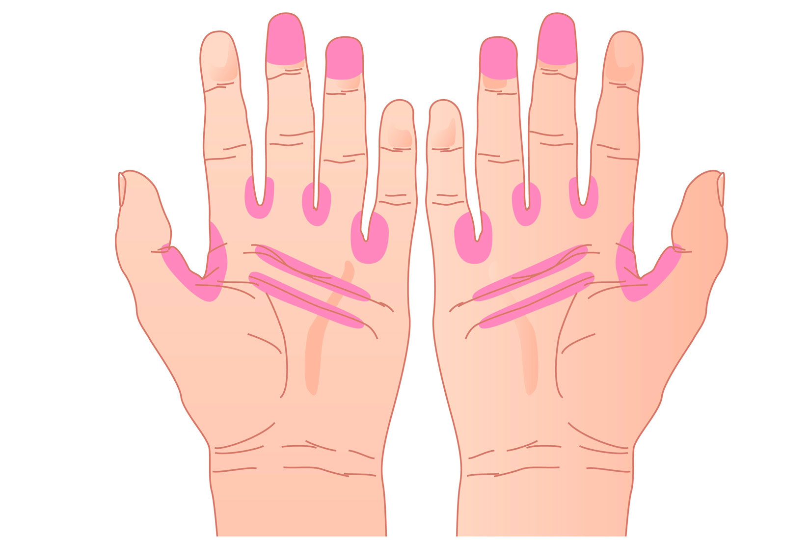 Obrana tijela od bolesti – Biologija 8