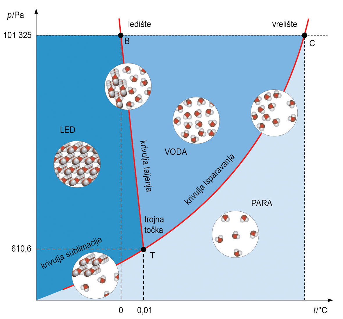 Fotografija prikazuje fazni dijagram, krivulju za vodu. Na dijagramu se mogu uočiti tri dijela ili površine prikazane trima nijansama plave boje, za led, vodu, paru. Spomenute površine su označene trima krivuljama crvene boje: krivulja sublimacije, krivulja isparavanja, krivulja taljenja. Sve tri krivulje sijeku se u točci T, gdje su u ravnoteži sve tri faze-led, voda, vodena para. Sjecište triju krivulja naziva se trojna točka.