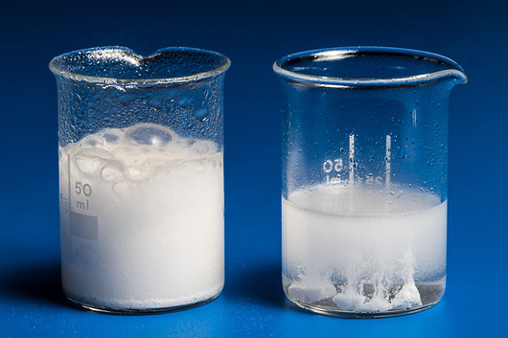 Fotografija prikazuje dvije laboratorijske čaše, u obje čaše se nalazi tekućina bijele boje, sastoji se od razrijeđene klorovodične kiseline i vapnenca različite teksture. U prvu čašu je dodan vapnenac u prahu, u drugu komadić vapnenca. Radi veće površine vapnenca u prahu i razrjeđene klorovodične kiseline reakcija je burnija u prvoj čaši.