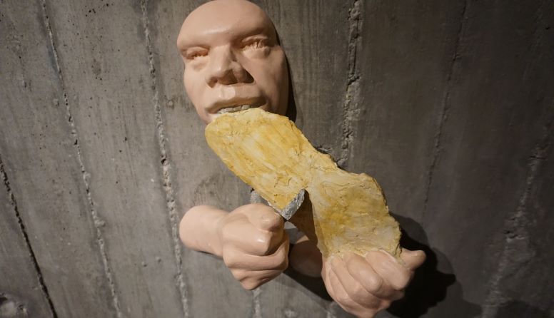 Obrada životinjske kože
