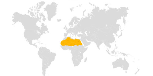 Mapa Zemlje na kojoj su kopnene mase obojane svijetlo sivom bojom, a mora i oceani bijelom bojom. Položaj Sahare koja pokriva cijeli sjeverni dio Afrike obojan je tamno žutom bojom.
