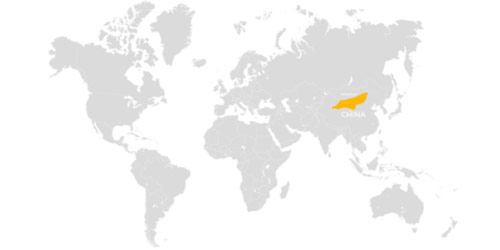 Mapa Zemlje na kojoj su kopnene mase obojane svijetlo sivom bojom, a mora i oceani bijelom bojom. Položaj pustinje Gobi u zapadnoj Kini obojan je tamno žutom bojom.