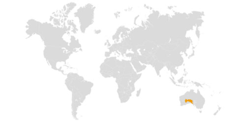 Mapa Zemlje na kojoj su kopnene mase obojane svijetlo sivom bojom, a mora i oceani bijelom bojom. Položaj Viktorijine pustinje u južnoj Australiji obojana je tamno žutom bojom.