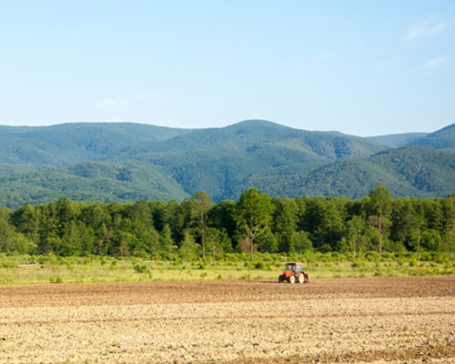 U prvom planu je smeđe uzorano polje na kome su dva crvena trakotora koji djeluje maleno. Iza polja je šuma, a zatim se vidi zelena planina.
