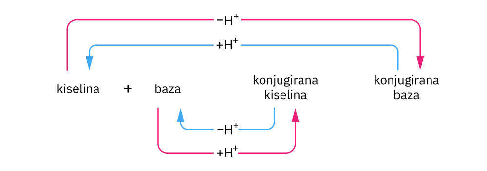 Fotografija prikazuje  odnos parova kiselina i konjugiranih baza i obratno.