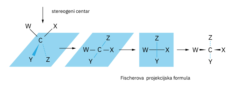 Fotografija prikazuje  shemu kako se klinasta formula prevodi u Fischerovu projekcijsku formulu.