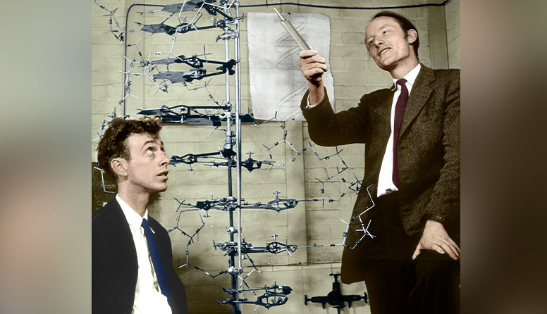 Na fotografiji su Watson i Crick. Proučavaju svoj DNA model.