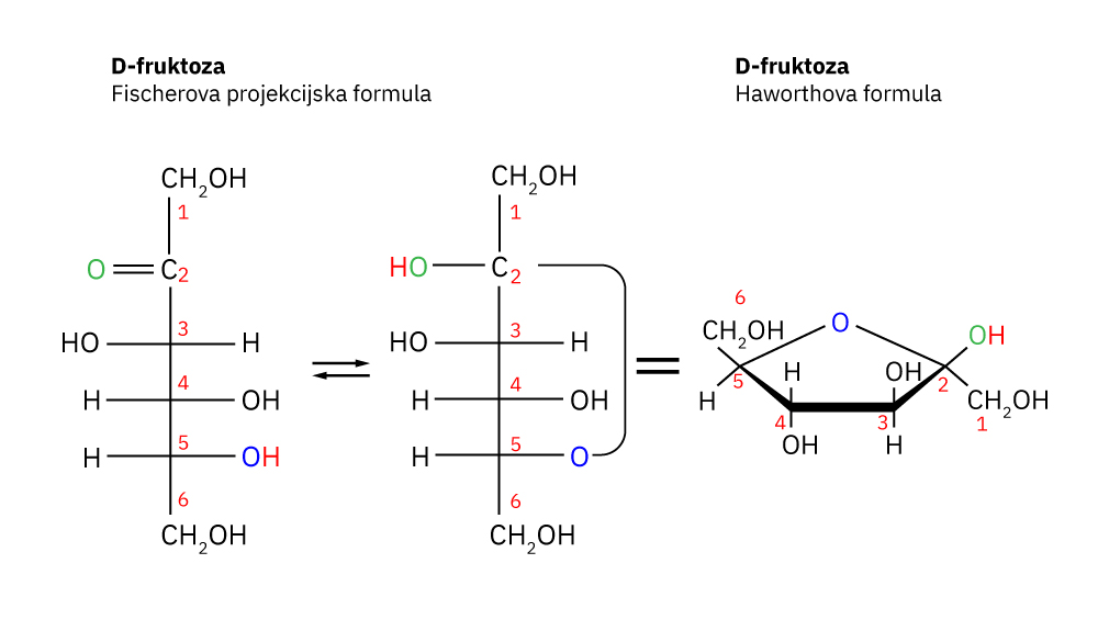 Fotografija prikauje prijelaz lančaste strukture molekule Dfruktozeu prstenastu. Lančasta se naziva Fischerova projekcijska formula, a prstenasta je Haworthova formula.