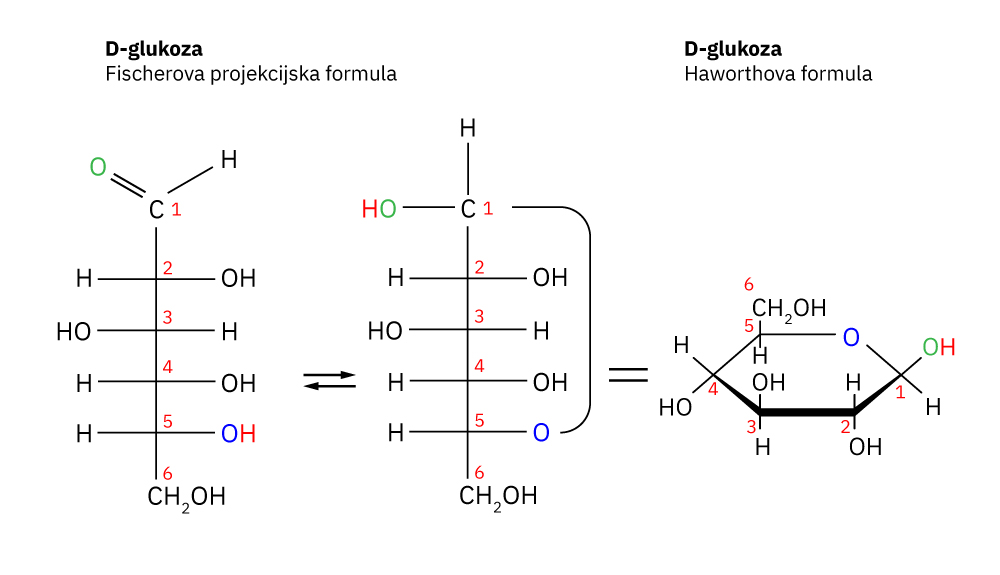 Fotografija prikazuje prijelaz lančaste strukture (Fischerova projekcijska formula) molekule D-glukoze u prstenastu strukturu (Haworthova formula).