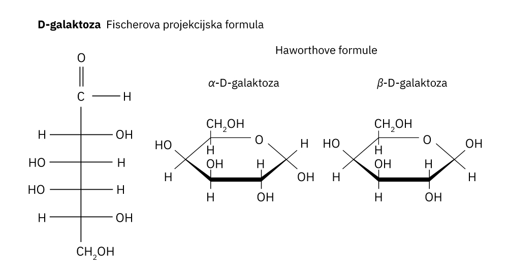 Fotografija prikazuje tri strukturne formule. Prva je Fischerova projekcijska formula D-galaktoze, druga je Haworthova formula alfa-D-galaktoze, treća je Haworthova formula beta-D-galaktoze.