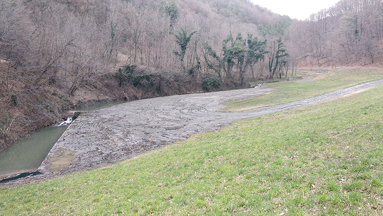 Kanal uz šumu. Dio vode iz kanala se preljeva i ide svojim tokom kroz livadu koja je zelena i pokošena
