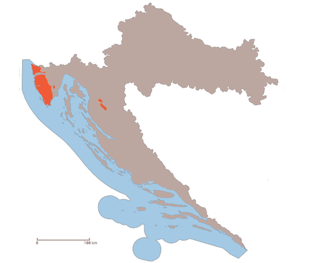 Crvenica