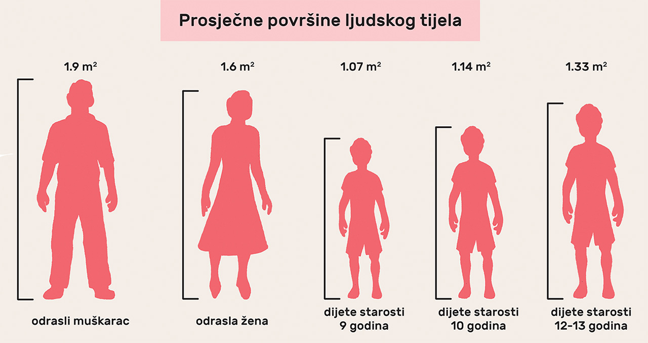 Prosječne površine ljudskog tijela