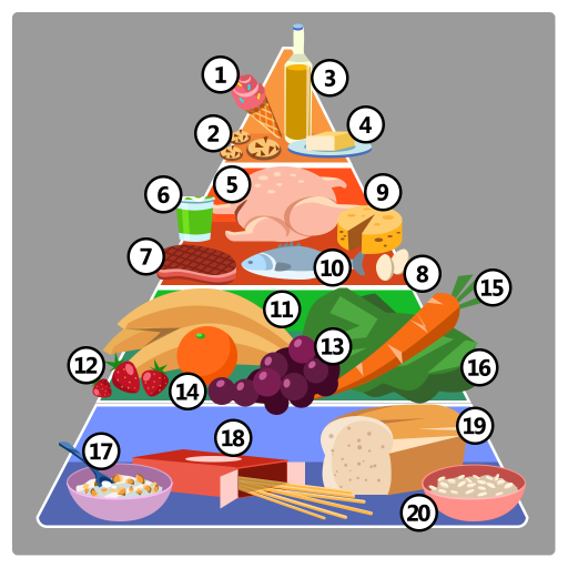 1 p M3 U1 I3 food pyramid numbers