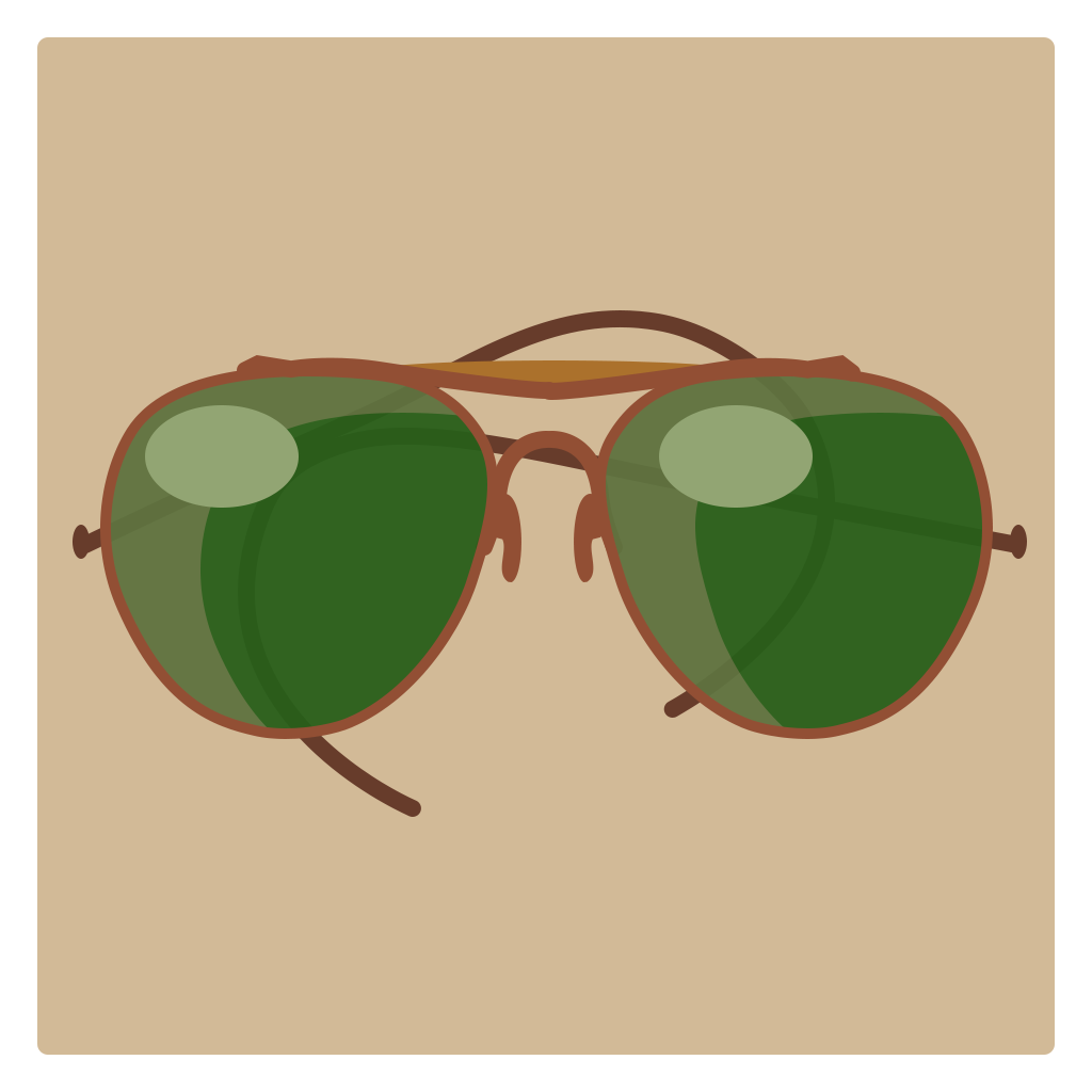 A pair of aviator glasses.
