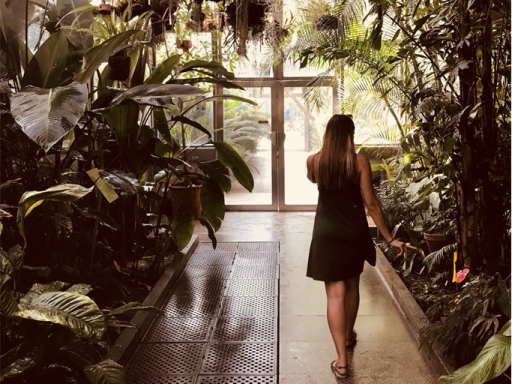 Budapest Zoo botanical garden