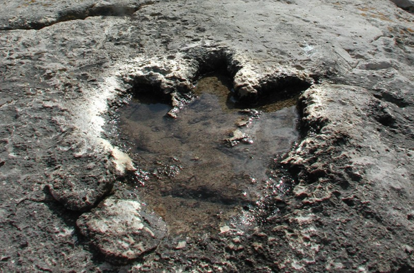 Na fotografiji je prikazan otisak dinosaura.