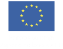 European Union flag