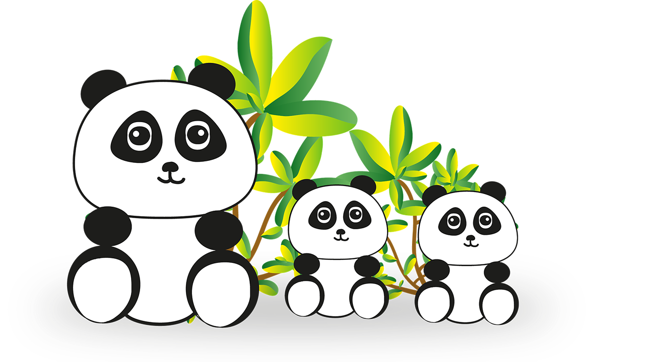 Na slici je panda kao primjer ugrožene vrste životinja.