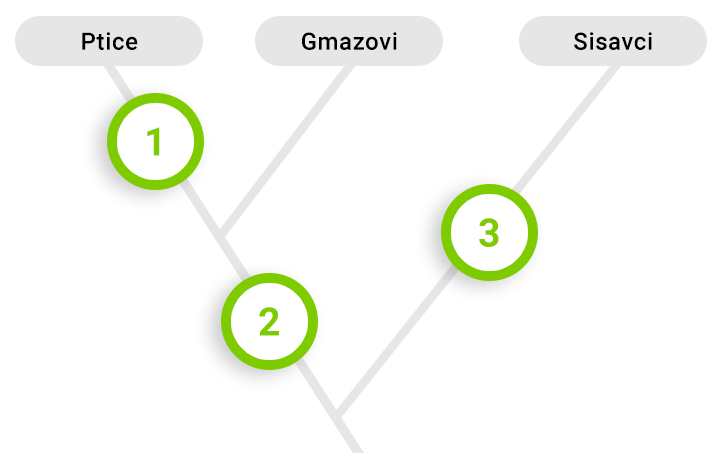 Kladogram: Ptice, Gmazovi, Sisavci
