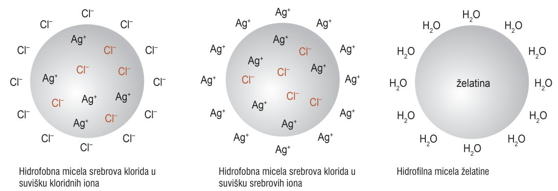 Fotografija prikazuje hidrofobne micele, prikazane su u obliku tri sive molekule: hidrofobna micela srebrova klorida u suvišku srebrovih iona, hidrofobna micela srebrova klorida u suvišku kloridnih iona i hidrofilna micela želatine. Na molekulama i oko njih prikazani su kemijski simboli za klor, srebro, vodu. Na površini hidrofobne micele adsorbiraju se pozitivni ili negativni ioni iz disperznog sredstva, a na površini hidrofilne micele molekule vode.