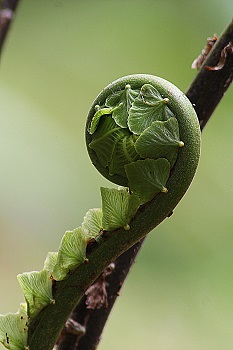 Naslovna slika