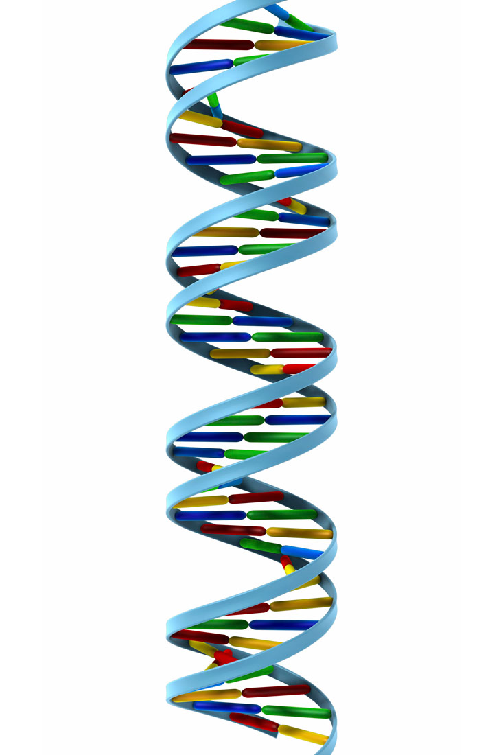 Molekula DNA