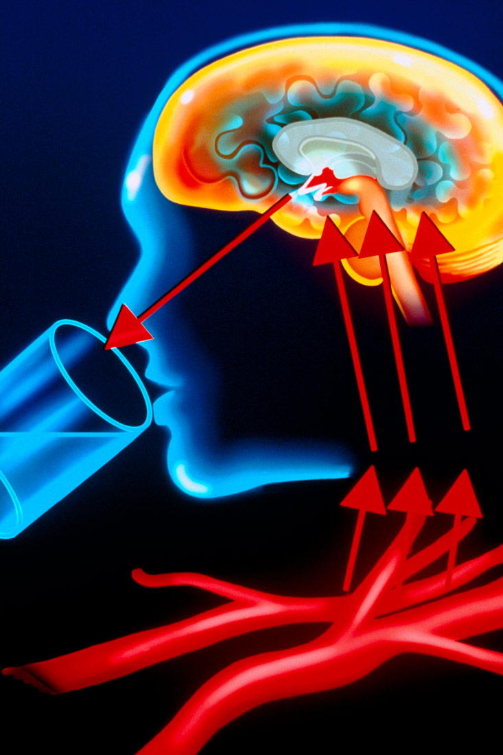 Slika 3. Na slici je prikazan obris glave u kojoj se vidi mozak. Glavi je prinesena čaša vode. Tri strelice pokazuju prema mozgu, te jedna strelica pokazuje prema čaši vode.