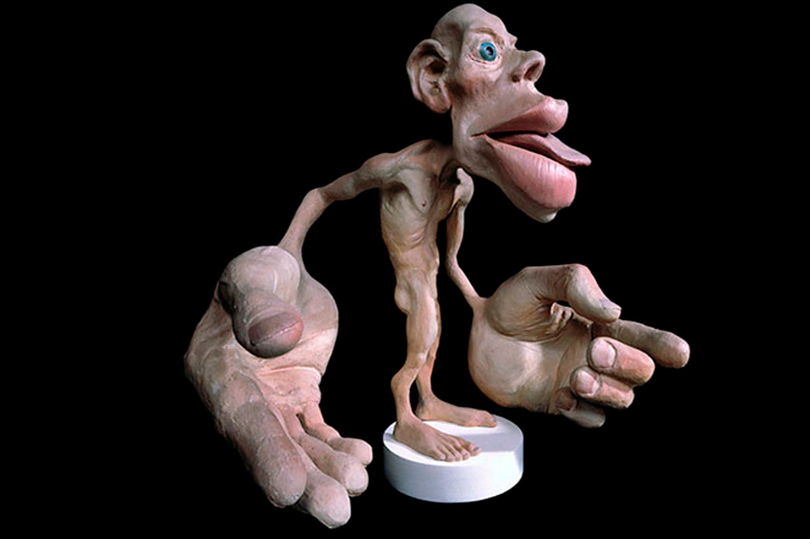 Prikazan je gipsani model, karikatura, uvećanih onih dijelova tijela koji imaju više završetaka živaca. Uvećana su usta i jezik te šake, prsti.