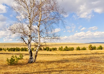 Naslovna slika