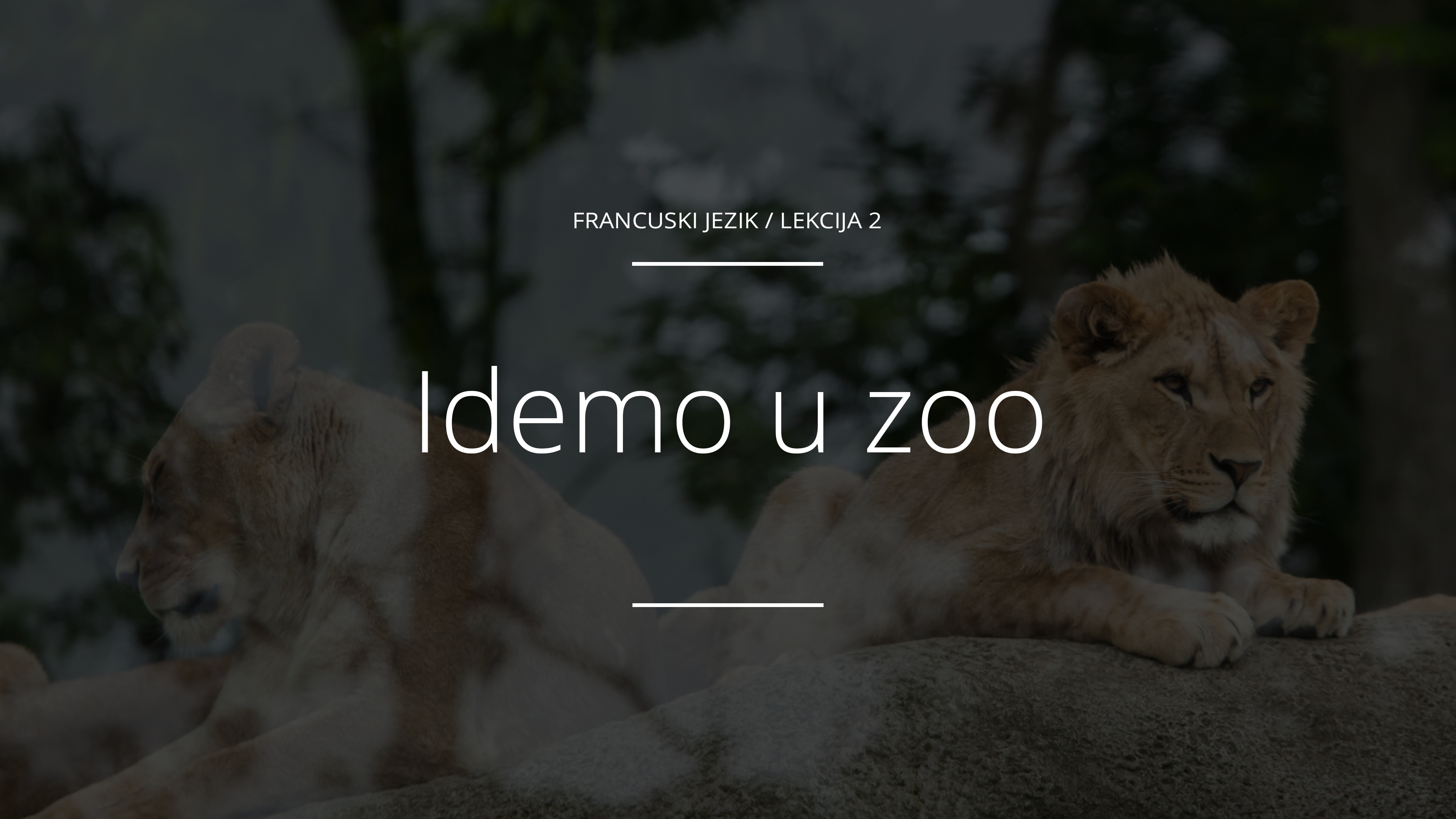 Idemo u zoo