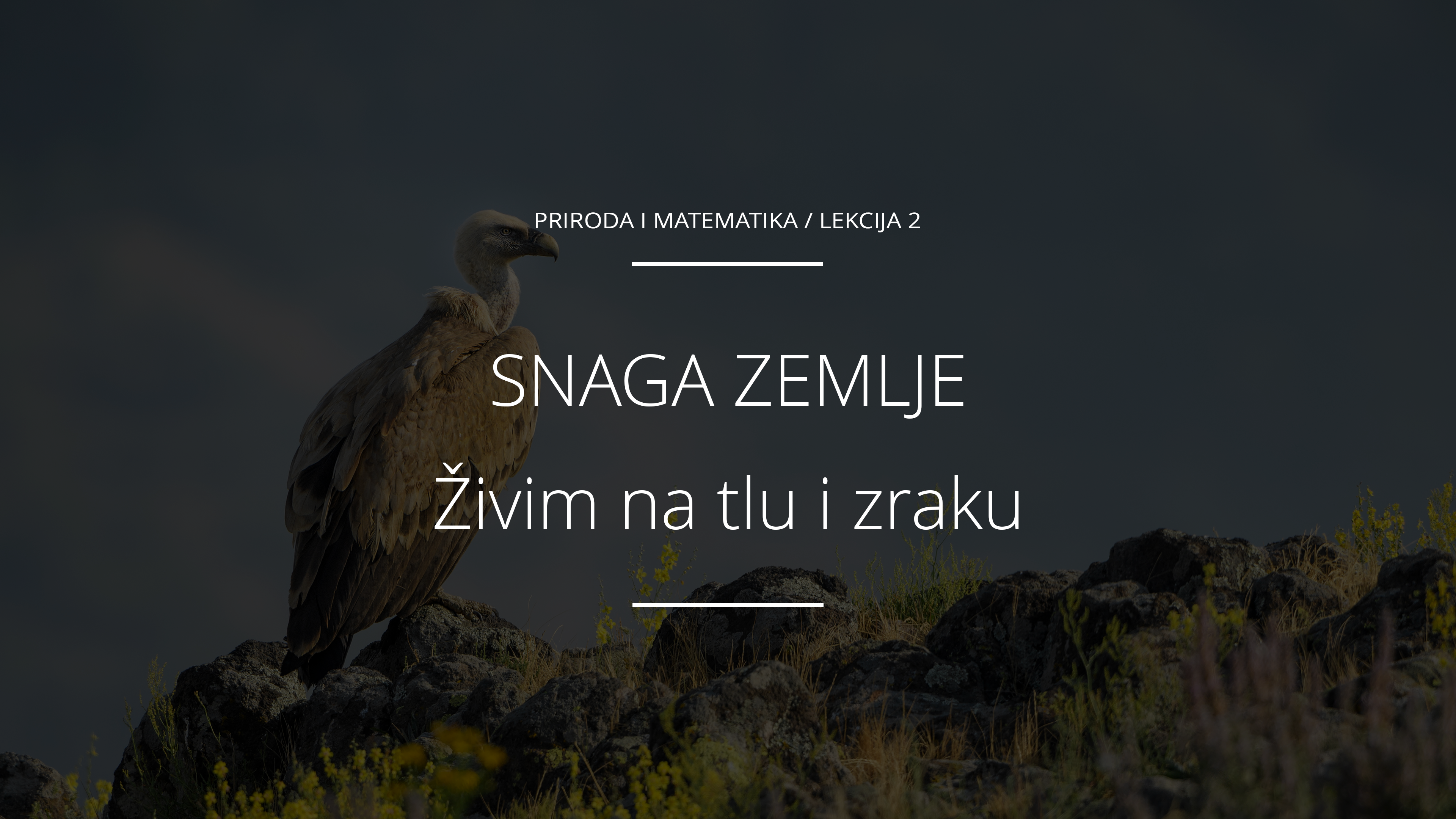 Živim na tlu i u zraku