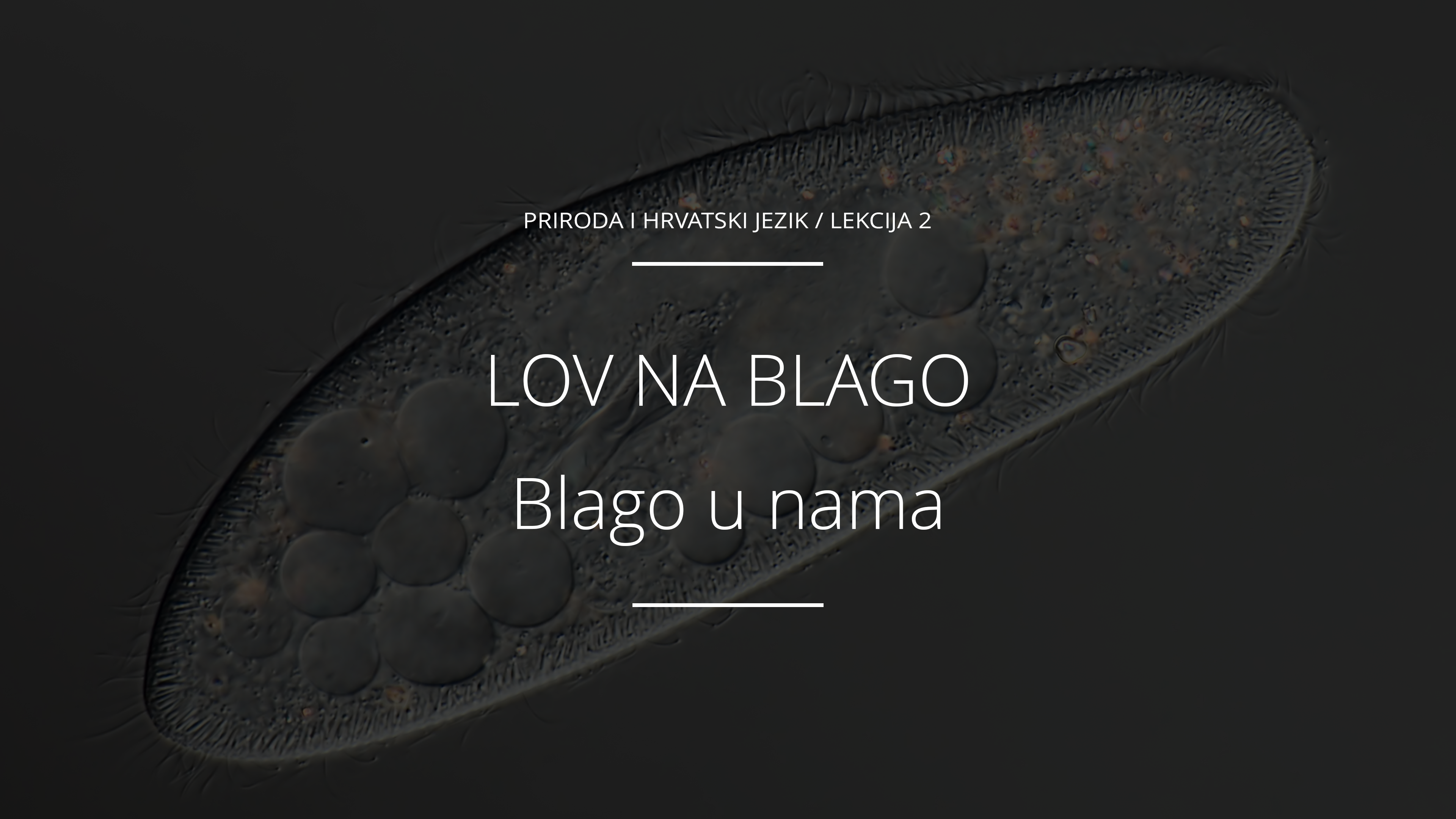 Blago u nama