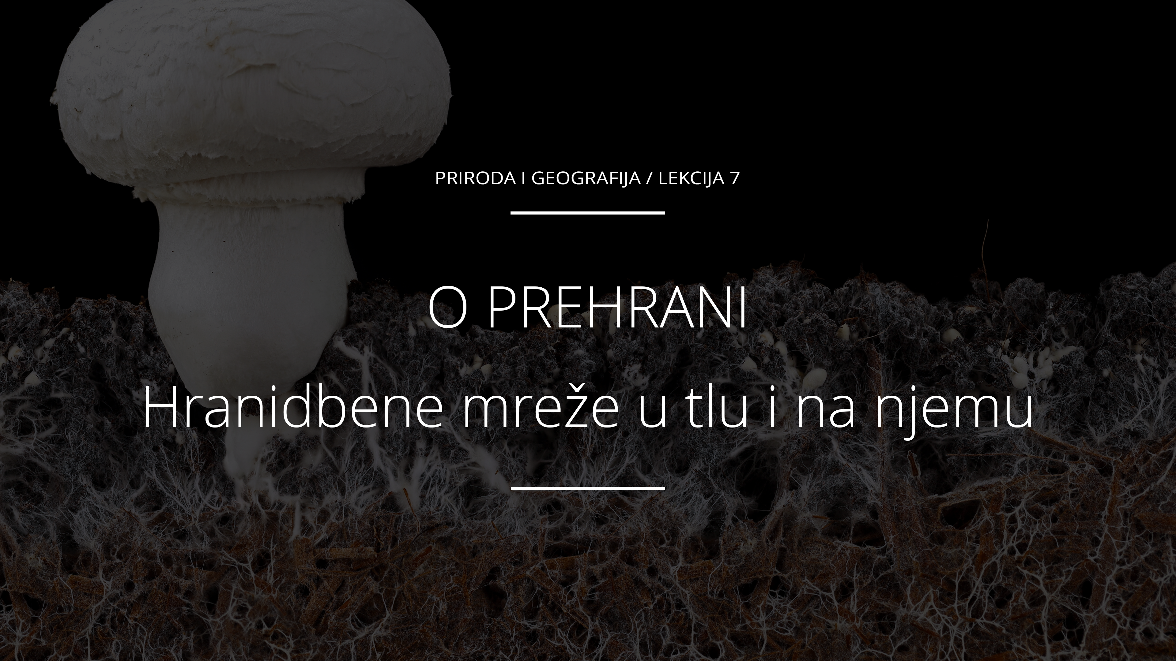 Hranidbene mreže u tlu i na njemu