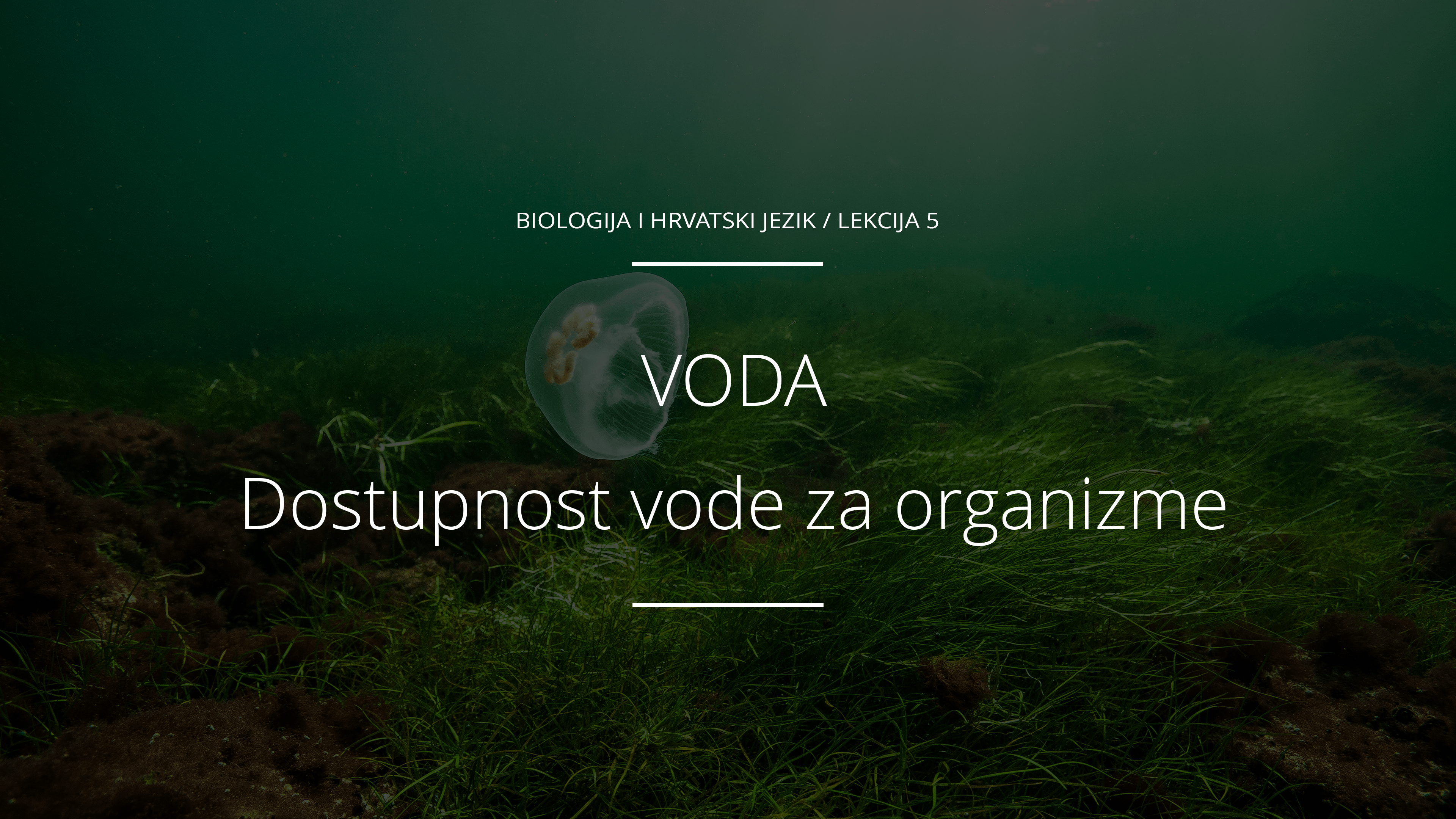 Dostupnost vode za organizme