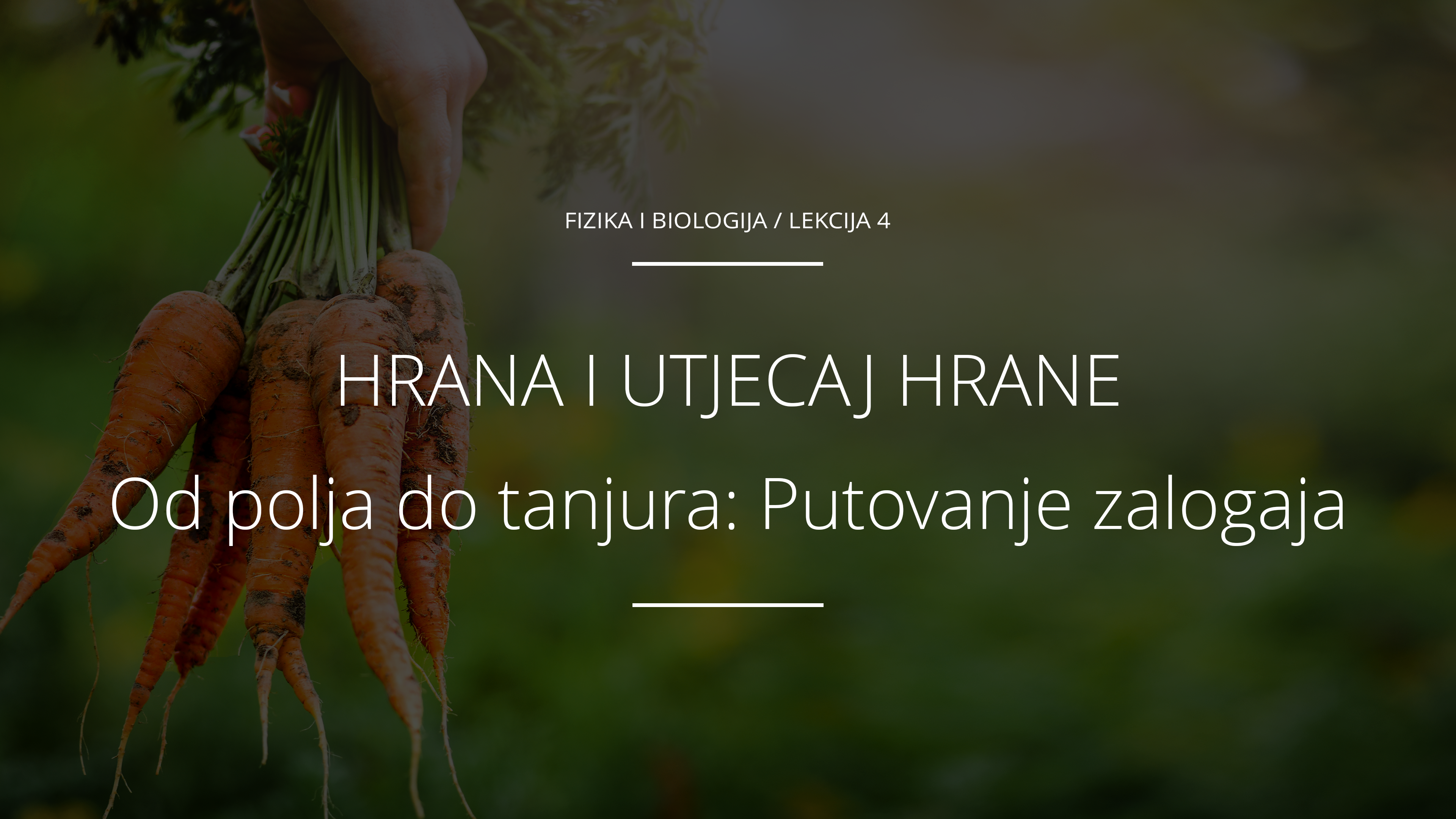 Od polja do tanjura: Putovanje zalogaja