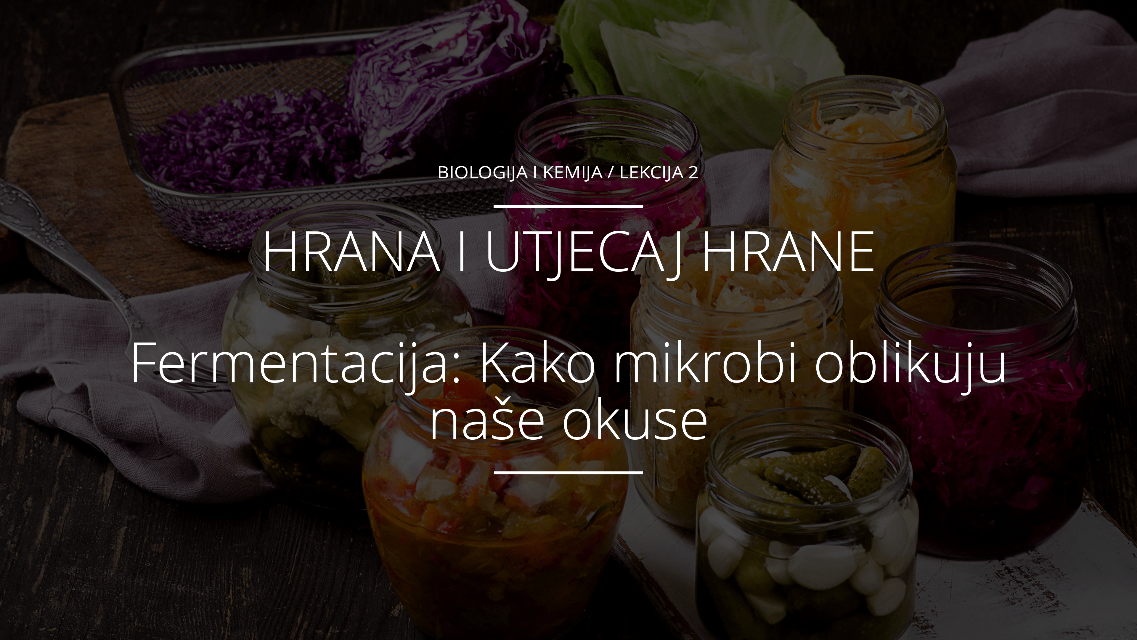 Fermentacija: Kako mikrobi oblikuju naše okuse