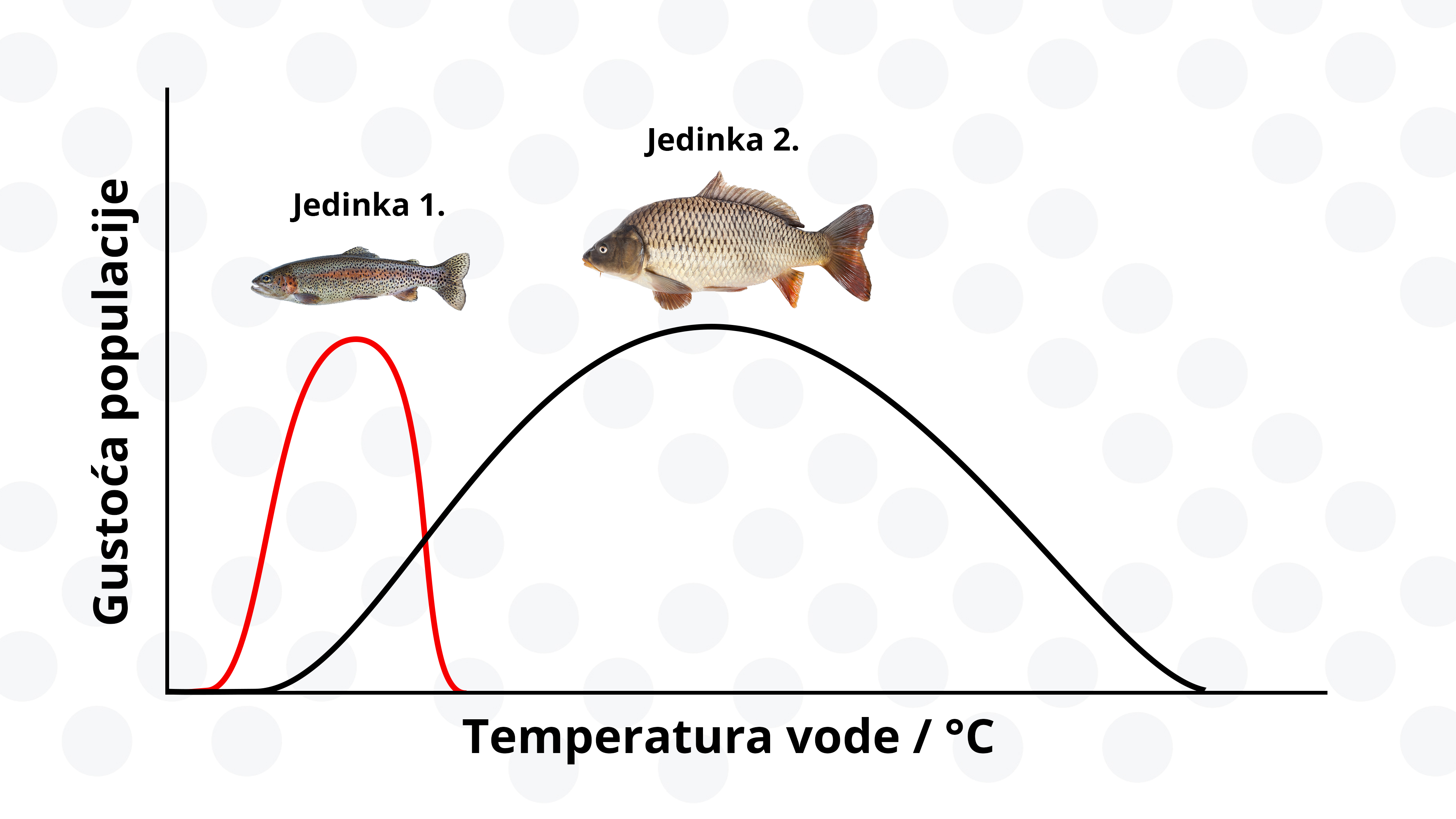 zadatak3slika