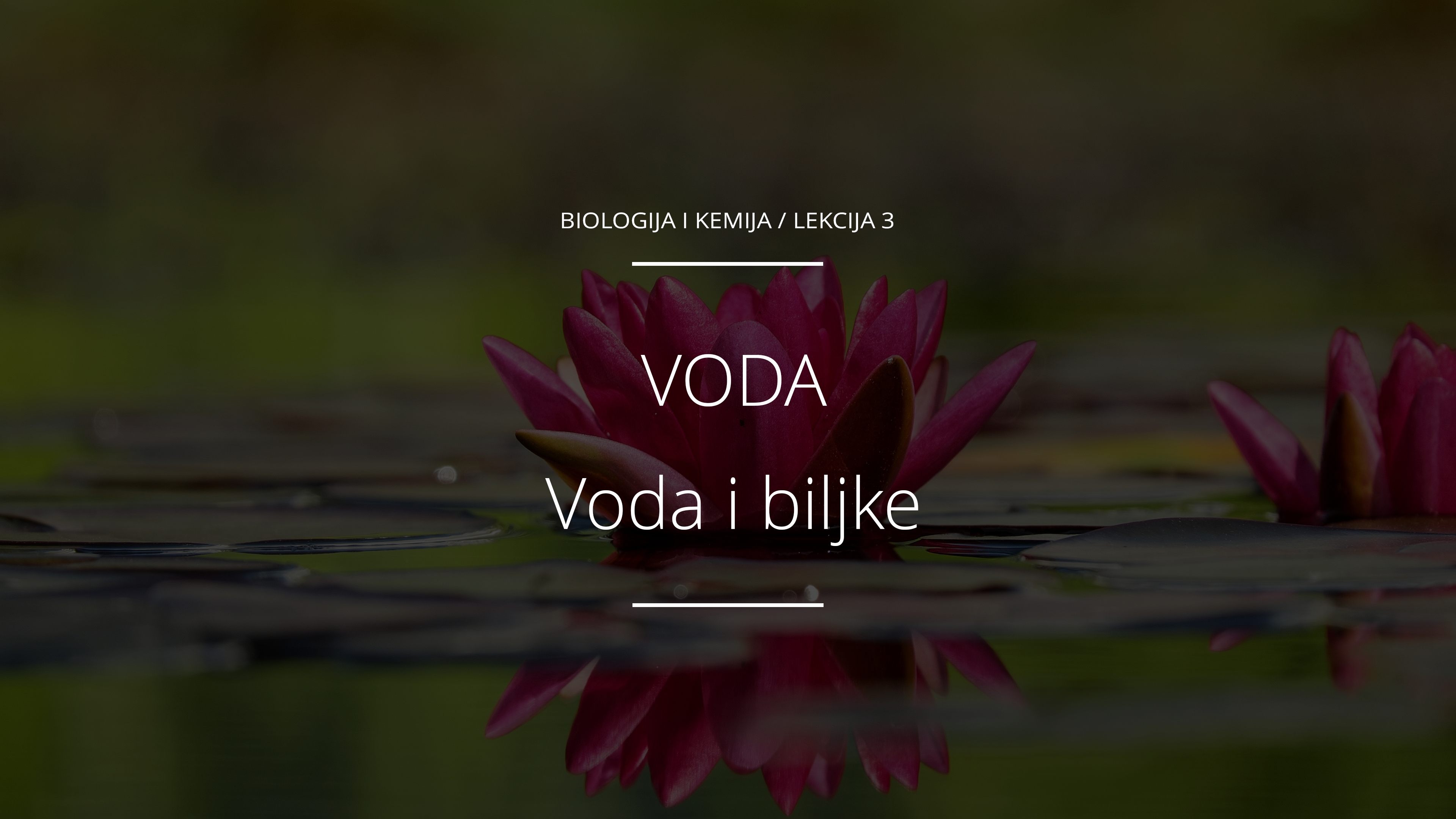 Voda i biljke