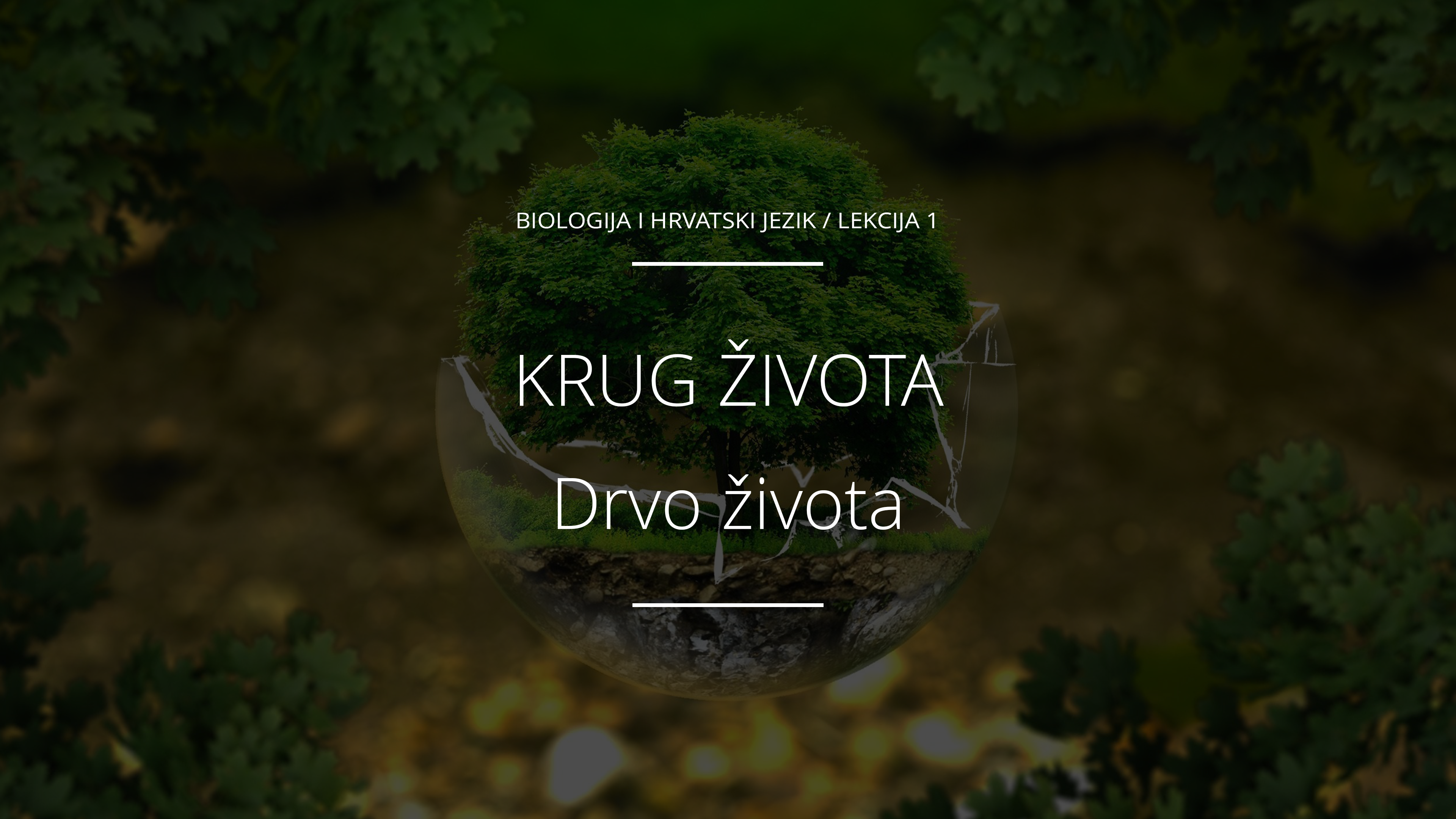 Drvo života