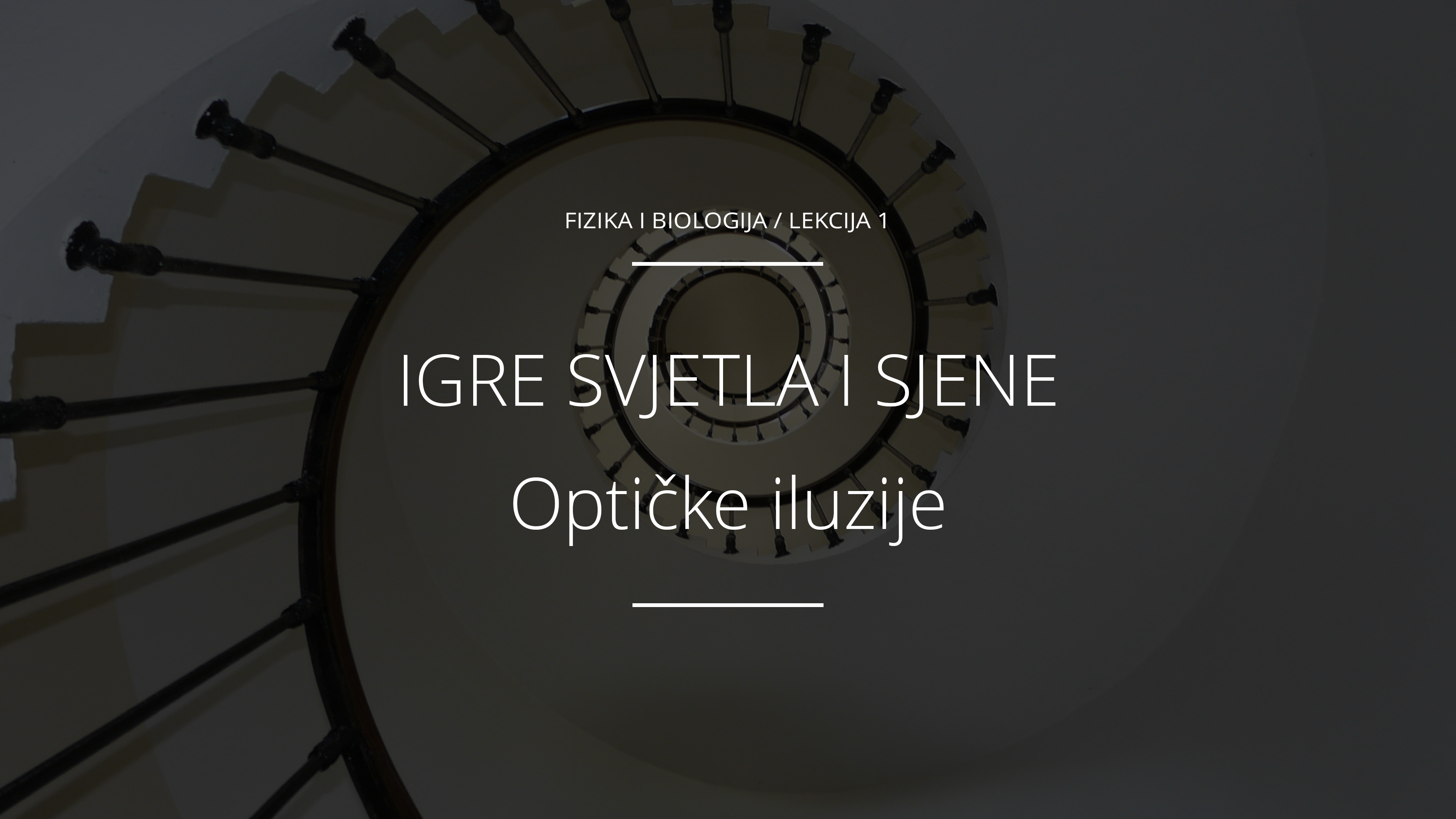 Optičke Iluzije