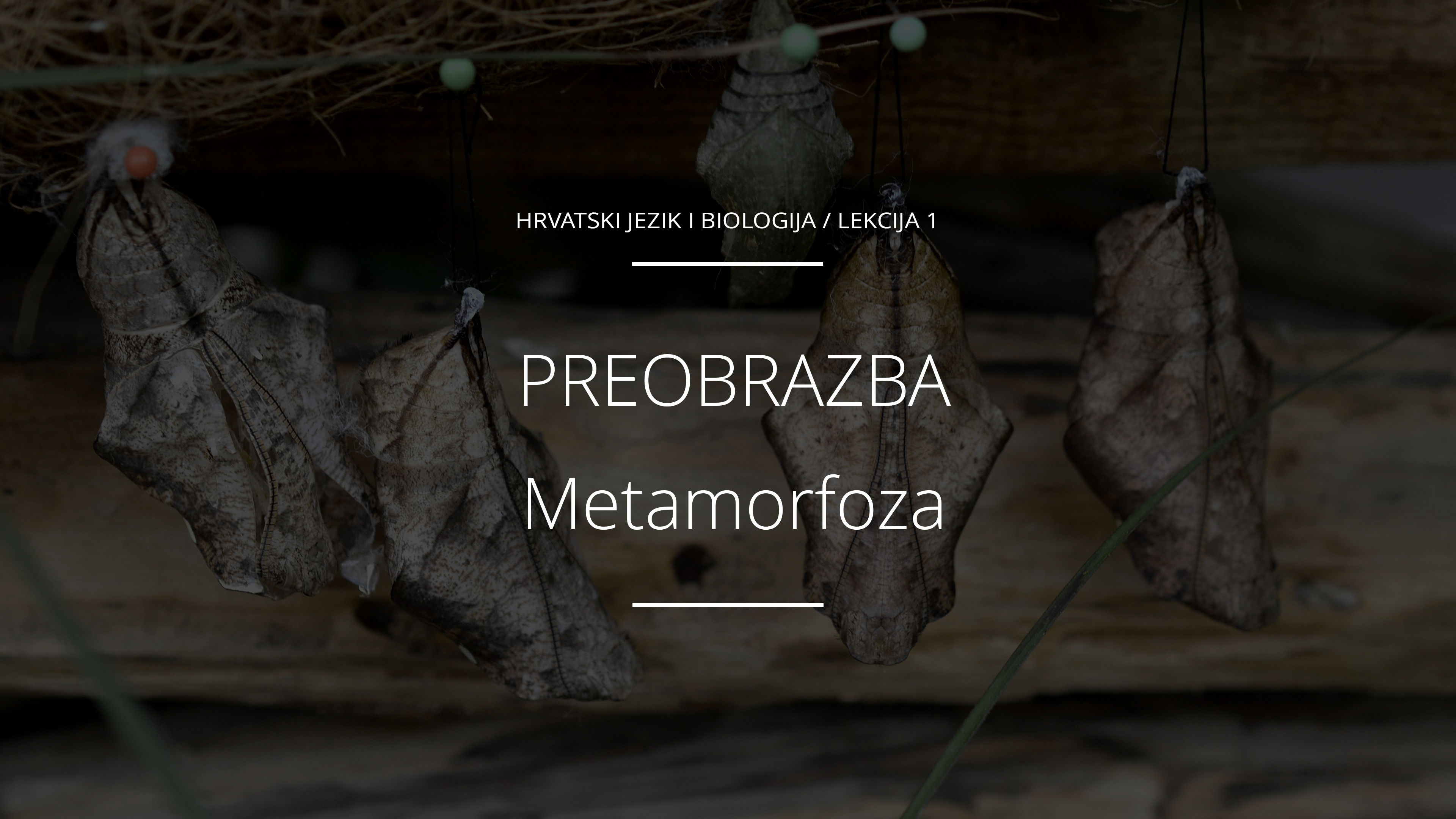 Metamorfoza