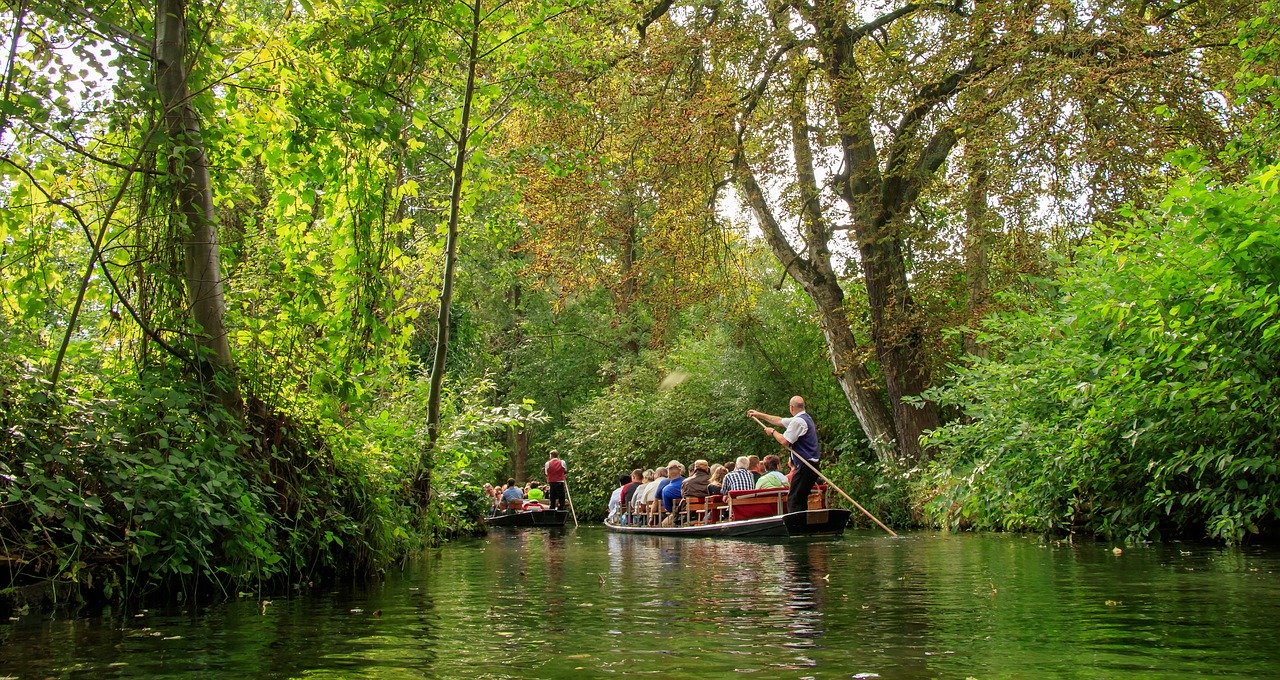 Na slici je prikazana prirodna ljepota šuma Spreewald.