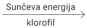 Sunčeva energija, klorofil