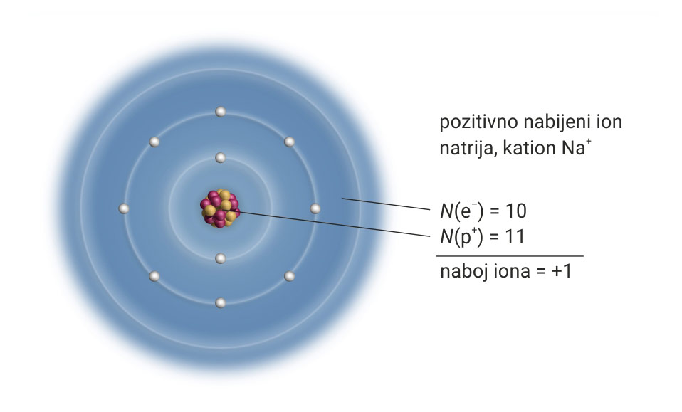 Na slici je prikazana građa kationa natrija. Jezgra je prikazana u obliku spojenih kuglica žute i crvenosmeđe boje ( 11 protona i 11 neutrona) . Zapisano je N (p+)= 11. U elektronskom omotaču (plave boje) rapoređeno je 10 elektrona i zapisano je N (e-)=10. Veći je broj protona od elektrona pa je naboj iona + 1.