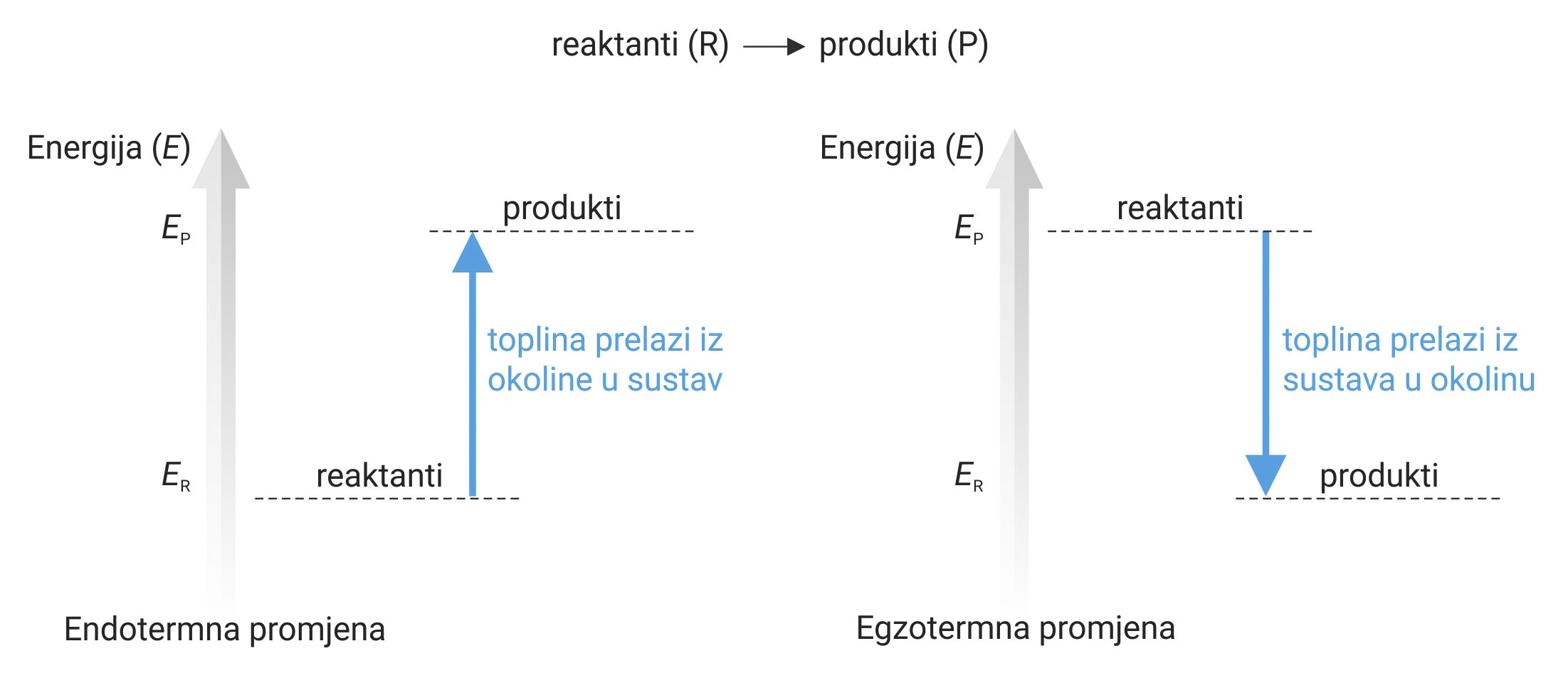 Na slici je prikazana shema energijskog dijagrama koji prikazuje ENDOTERMNU i EGZOTERMNU promjenu. Kod ENDOTERMNE promjene energija je prikazana kao strelica s vrhom prema gore (toplina prelazi iz okoline u suastav). Kod EGZOTERMNE promjene energija je prikazana strelicom čiji je vrh okrenut prema dolje. Toplina prealzi iz SUSTAVA u OKOLINU. REAKTANTI u endotermnoj i egzotermnoj promjeni prelaze u PRODUKTE.