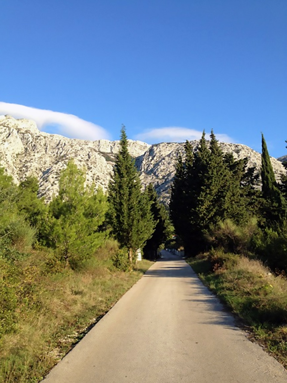 Uska cesta s bogatom vegetacijom s obje strane dok se u pozadini nazire planina.