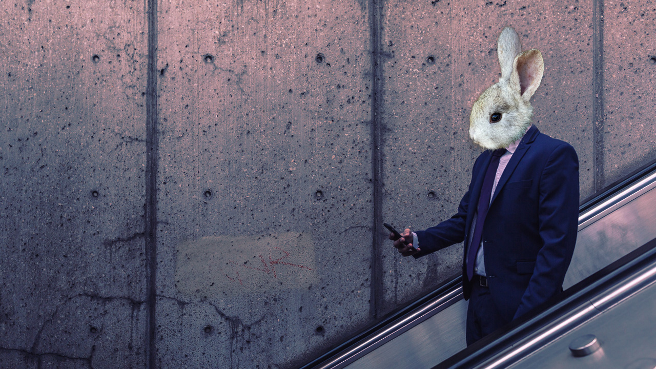 Fotomontaža čovjeka sa zečjom glavom. Odjeven je u tamnoplavo odijelo, u desnoj ruci drži mobitel kojeg pogledava i spušta se pokrenim stepenicama. 